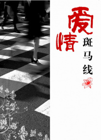 亚洲精品456在线播放无广告